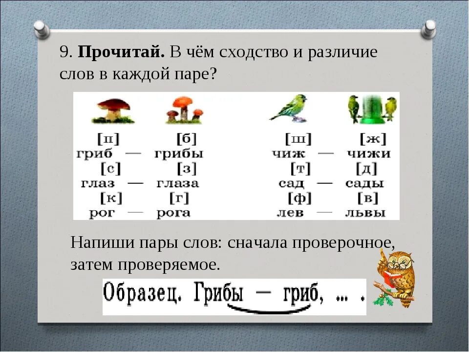 Парные согласные по глухости 2 класс. Парные согласные по звонкости и глухости 1 класс. Звонкие и глухие согласные в конце слова.1 класс школа России. Начальная школа парные звонкие и глухие согласные.