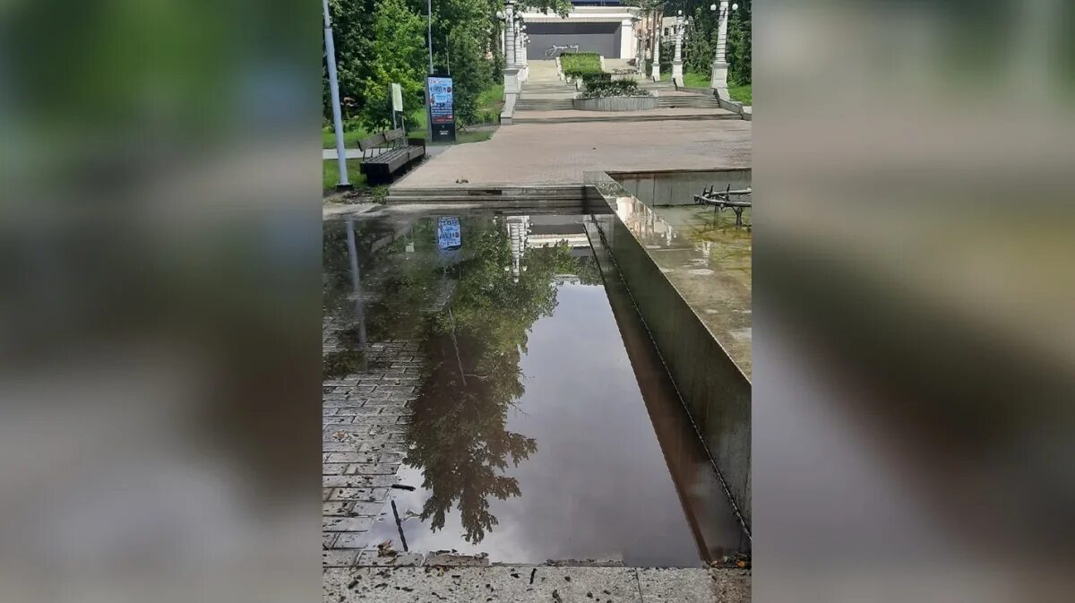 Три дня после дождя