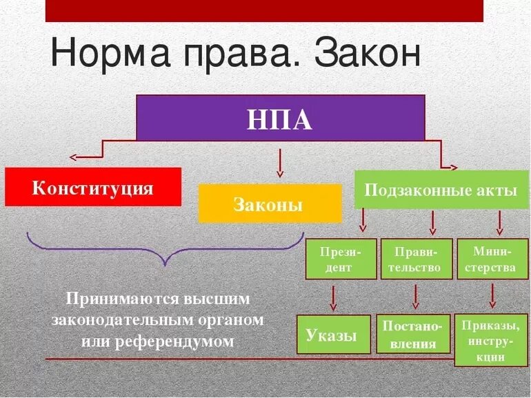 Понятие и виды подзаконных