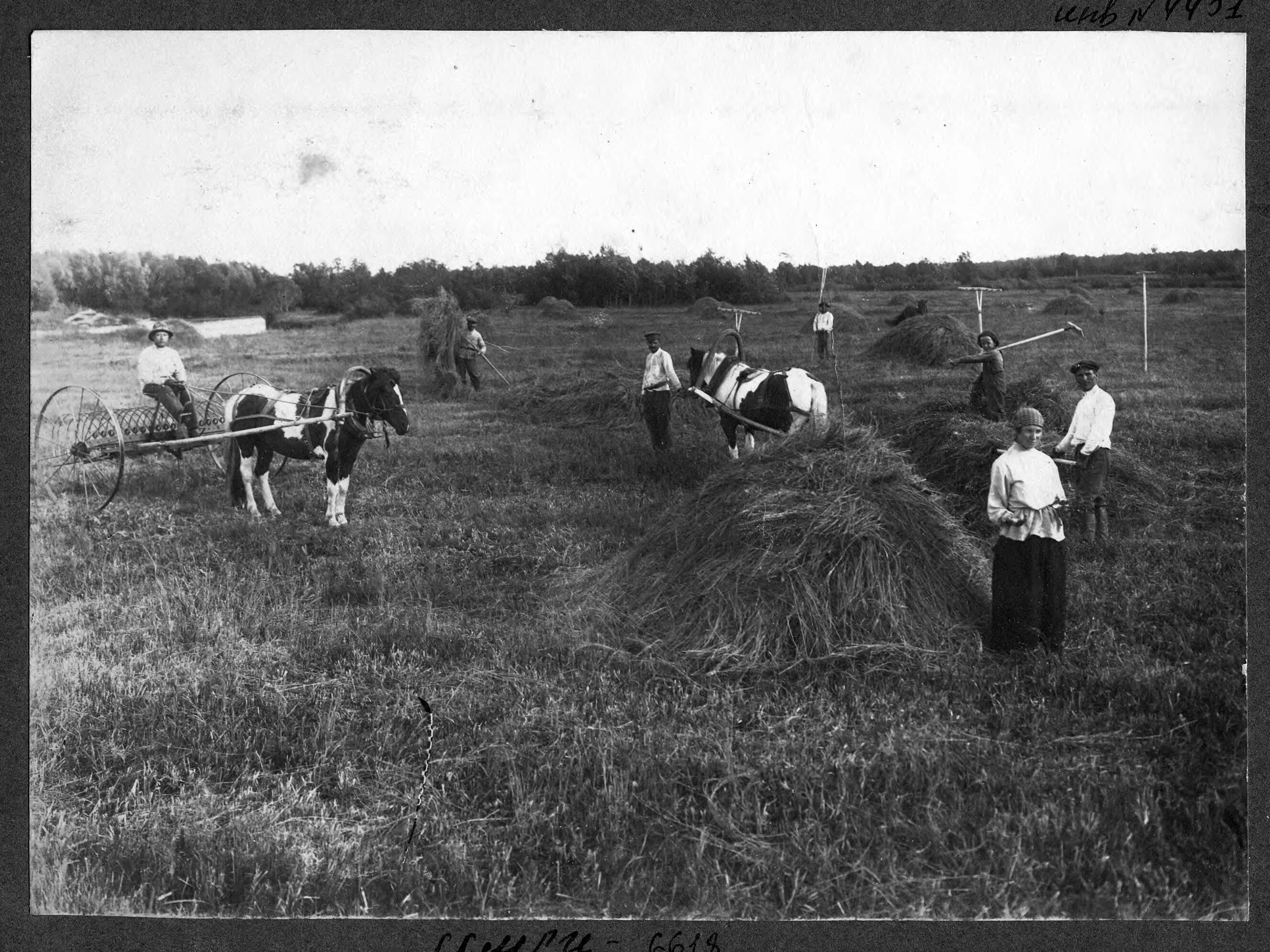 Деревня 1920 годов. Сенокос в деревне. И.Е. Ларин. 1920 Год.. Сенокос в деревне 20 век. Сенокос 1920 год. Сенокос в деревне.