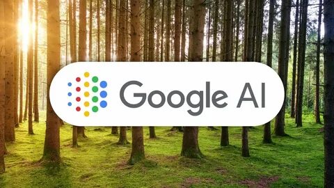 Oii Building An Internet For The Social Good BEE
