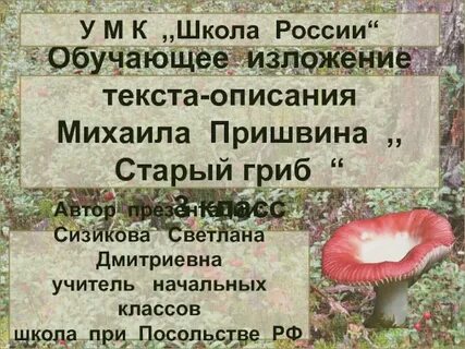 Изложение сыроежка