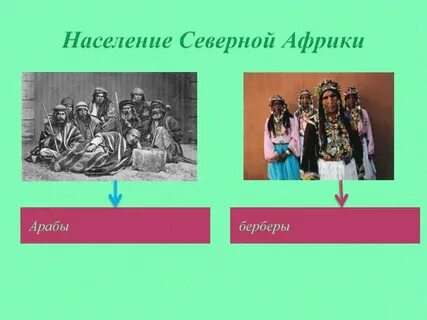 Население севера африки