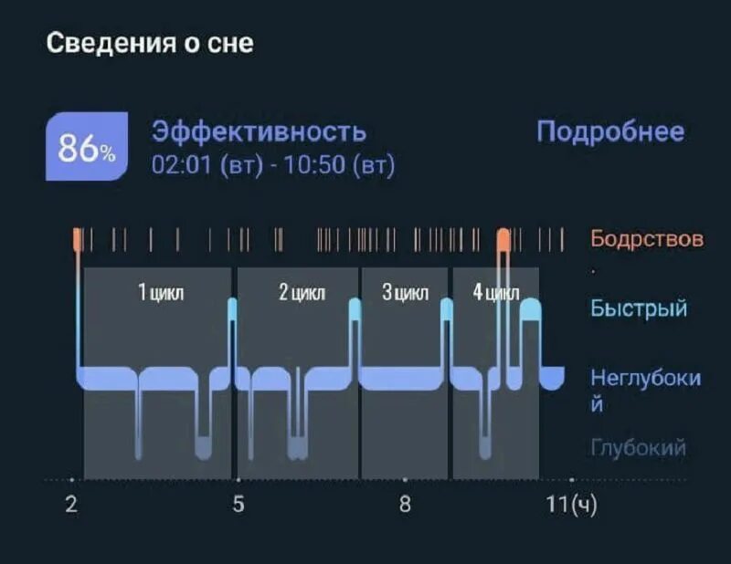 Прохождение 3 глубокий сон. Фазы и циклы сна. Чередование фаз сна. Фаза медленного сна. Цикл сна человека.