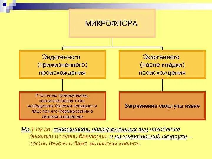Полимерное сырье. Типы перерабатывающих подсистем. Полимерные добавки в асфальтобетон. Переработка полимерных материалов. Модификация сырья.
