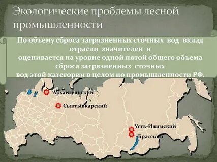 Какие проблемы существуют в лесной промышленности