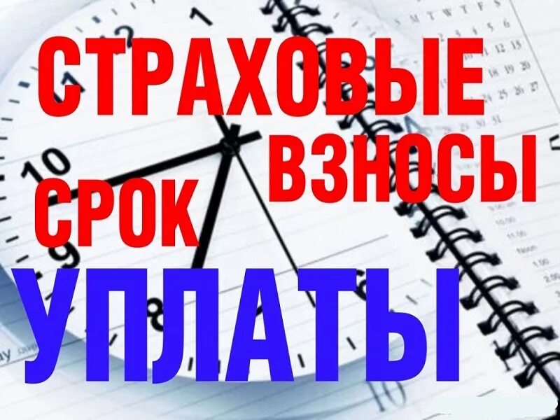 Уплата страховых взносов. Сроки уплаты страховых взносов. Страховые взносы картинки. Срок уплаты страховых взносов в 2022.