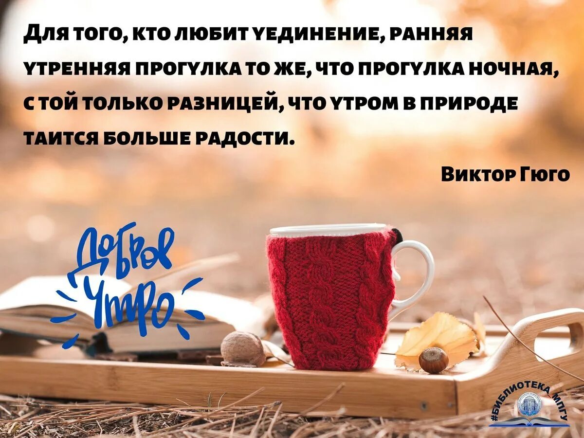 Цитаты про утро. С добрым утром понедельника цитаты. Мотивационное доброе зимнее утро. Утренняя прогулка цитаты