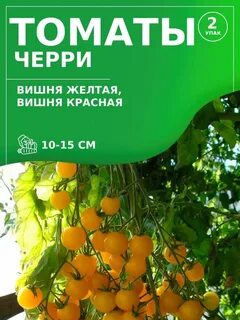 Томаты желтая вишня описание сорта фото отзывы