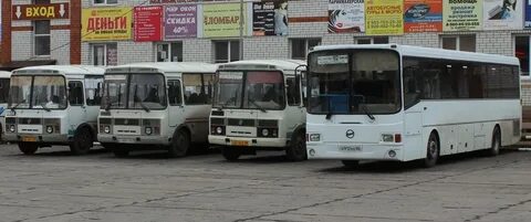 Автобусы тамбов рассказово
