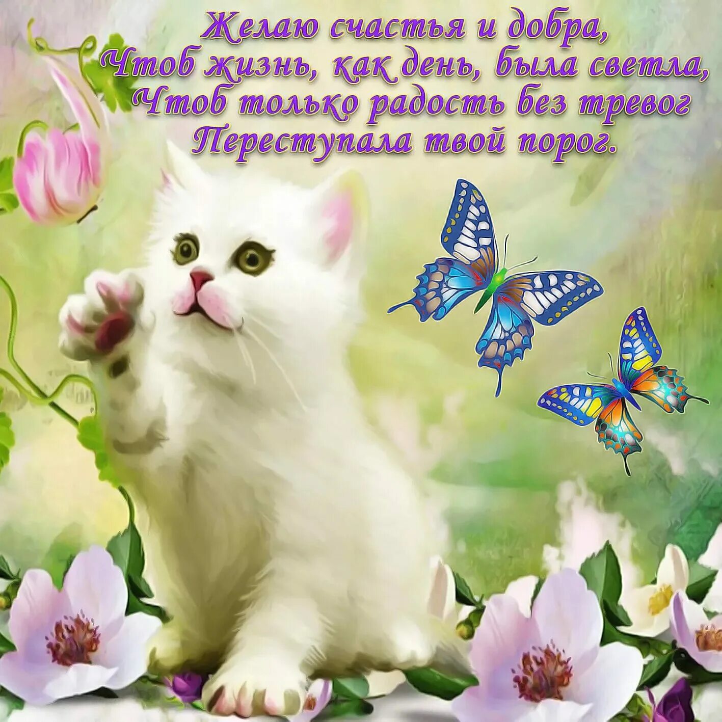 Сайт добрых пожеланий