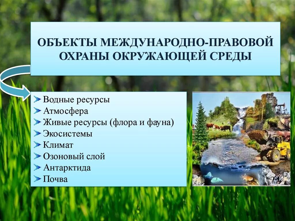 Международно-правовая охрана окружающей среды. Объекты охраны окружающей среды. Международные объекты охраны природы. Международные объекты охраны окружающей природной среды.