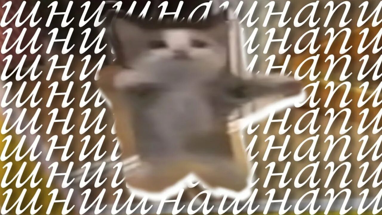 Шни шна шнапи мем с котом шни шнап шнапи оригинал мема с танцующим котом YouTube