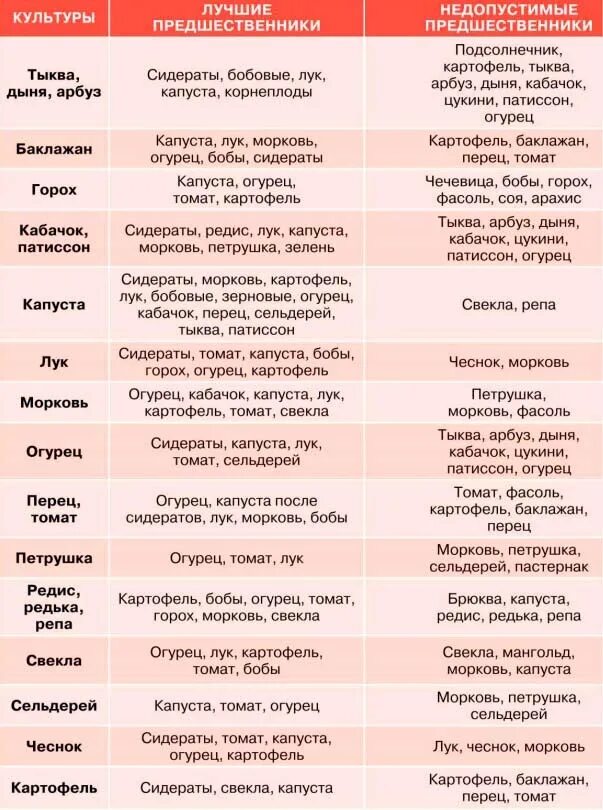 Предшественники культур на огороде таблица севооборота. Культуры предшественники овощей таблица. Чередование посадок овощных культур таблица. Схема севооборота овощных культур.