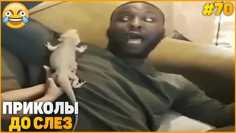 Шутки до слез из тик тока