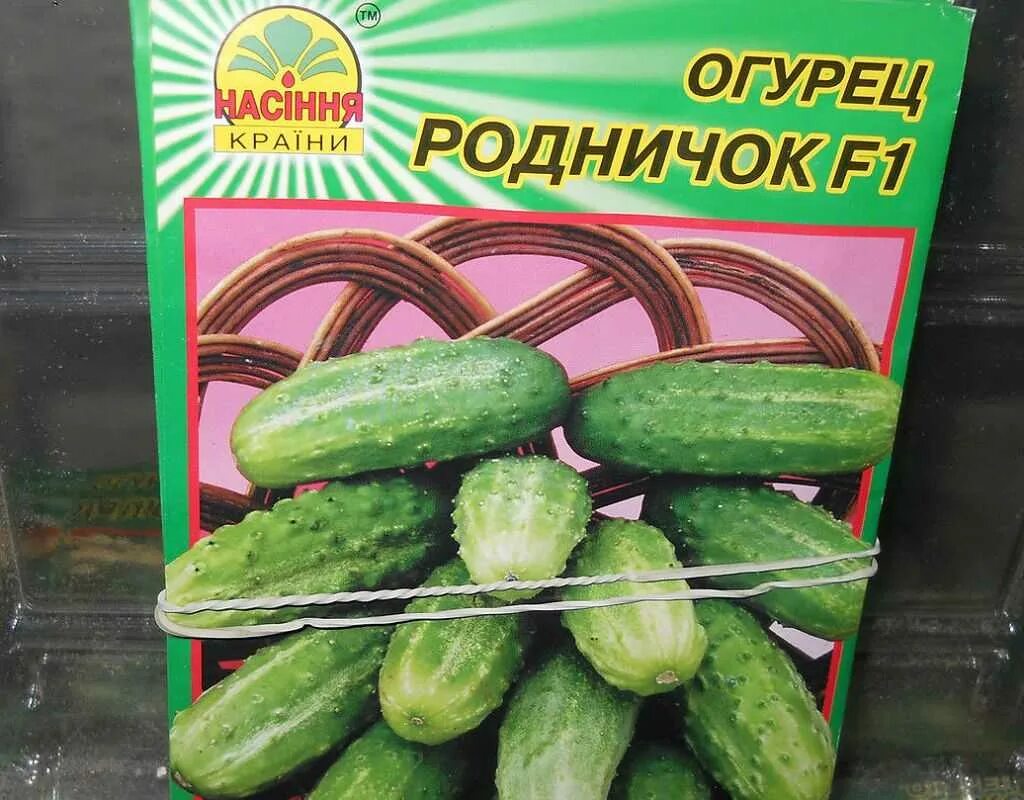 Огурец сорт родничок. Огурец родничок f1. огурцы родничок f1 (гибрид). огурец каскад f1. огурцы сорт родничок.