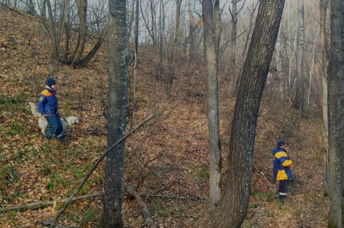 Мальчик в лесу. Поиски мальчика в лесу. Ребенок потерялся в лесу. Опустили мальчика в лесу. Поиски мальчика в лесу.