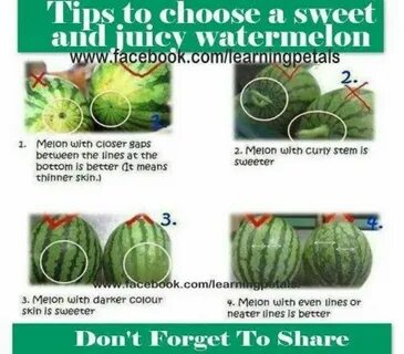 Sweet choose
