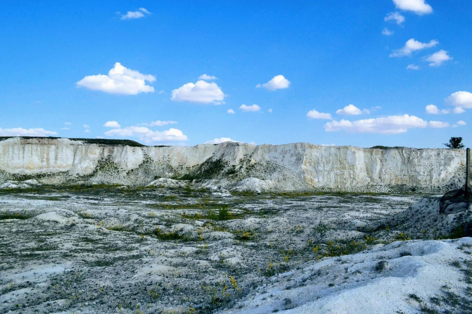 Меловые горы ольховка волгоградская область. Меловые горы ольховский район. Меловые горы волгоградская область. Меловые горы на дону волгоградская область. Меловые горы ольховский район.
