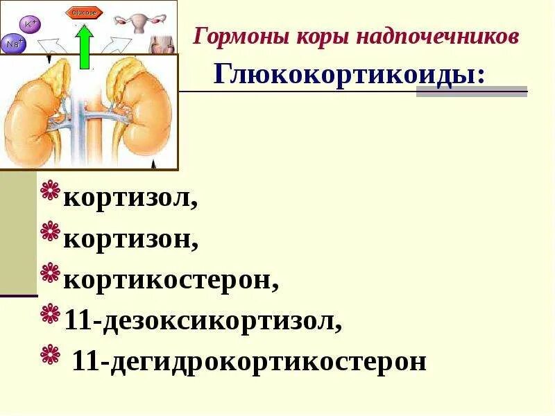 Функции гормонов коры надпочечников. Надпочечников глюкокортикоиды половые гормоны функции. Гормоны коры надпочечников: глюкокортикоиды (кортизол. Надпочечники гормон роста