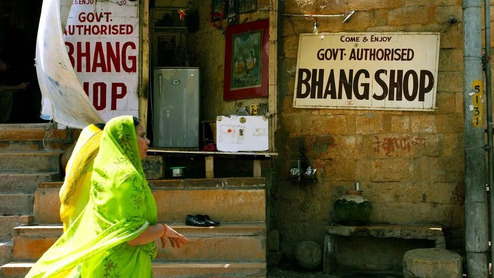 Бханг индийские напитки. Тандай и бханг. Jaisalmer Bhang shop.