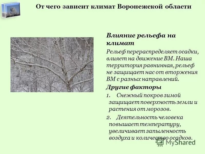 климат воронежской области. среднемесячная температура в воронеже по месяцам. сообщение о климате воронежской области. климат воронежской области среднегодовая температура. сообщение о климате воронежской области.