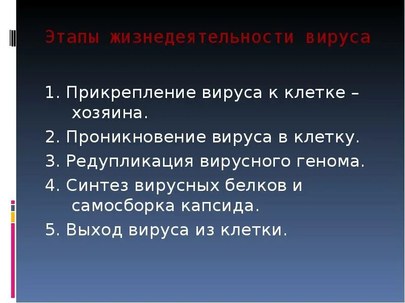 2 этап вируса. Этапы жизнедеятельности вируса. основные этапы жизнедеятельности вируса. жизнедеятельность вирусов кратко. процессы жизнедеятельности вирусов кратко.