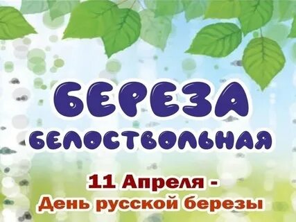 Отчет о дне березы