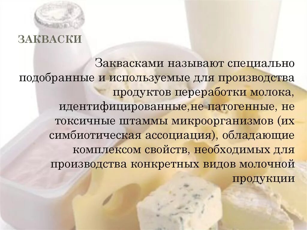 Микрофлора заквасок кисломолочных продуктов. Бактерии в производстве кисломолочных продуктов. Используются для производства молочнокислых продуктов. Закваски при производстве кисломолочных продуктов. Дрожжи используются человеком для производства кисломолочных