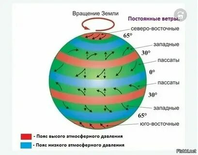 В умеренных широтах господствуют воздушные массы