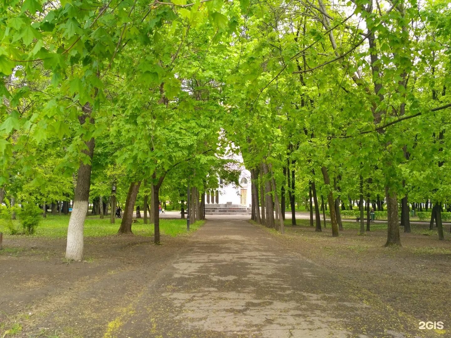 Парка рязань купить. Кремлевский парк Рязань. Нижний городской парк Рязань. Кремлевский сквер Рязань. Лесопарк Рязань лето.