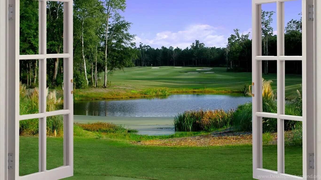Фотообои окно с видом на сад. Пластиковая дверь на веранду. Открытая дверь в природу. Окна двери в сад. Открытое окно.