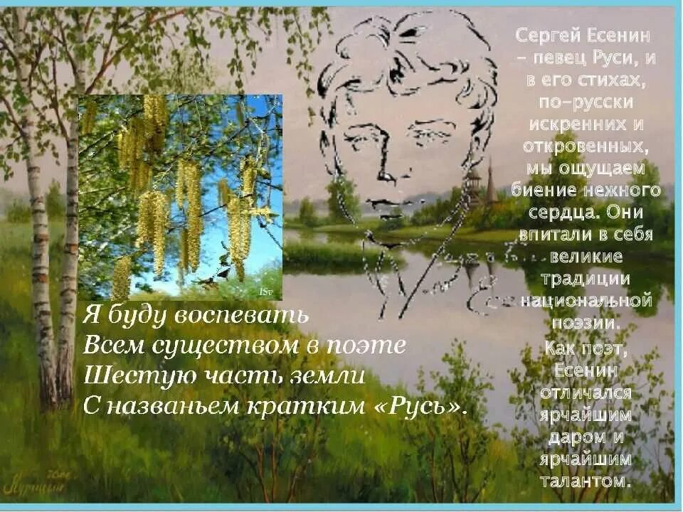 Стихотворение Есенина. Есенин с. "стихи". Поэты воспевающие родной край