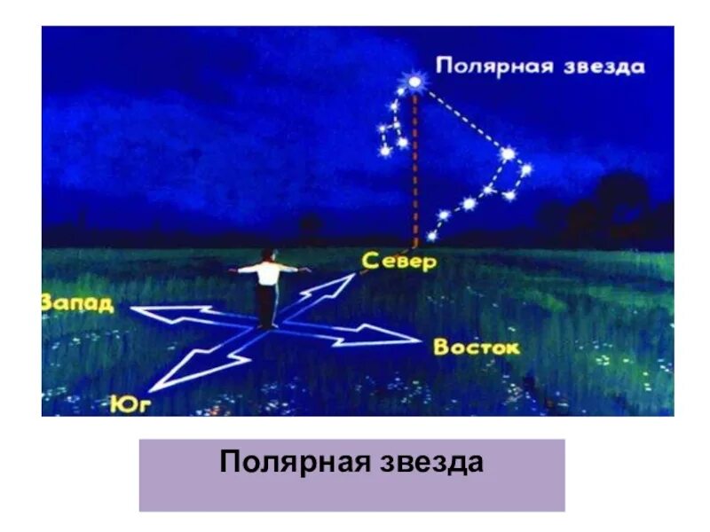 Полярная звезда. Полярная звезда слайд. Полярная звезда расстояние. Тройная система полярной звезды презентация. Сколько полярных звезд