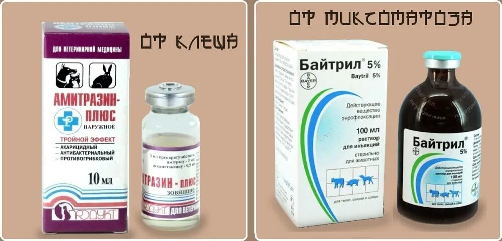 Можно ли курицам давать антибиотики. Энрофлоксацин байтрил. байтрил инъекции. антибиотики для кошек. байтрил для кур.