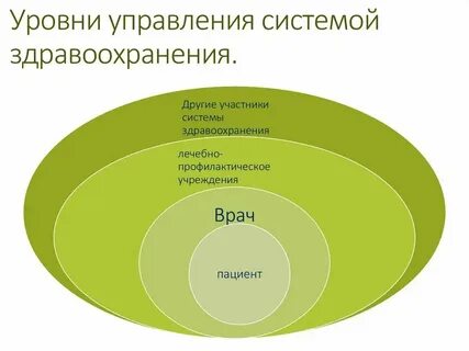 Уровни системы управления медицинской организации