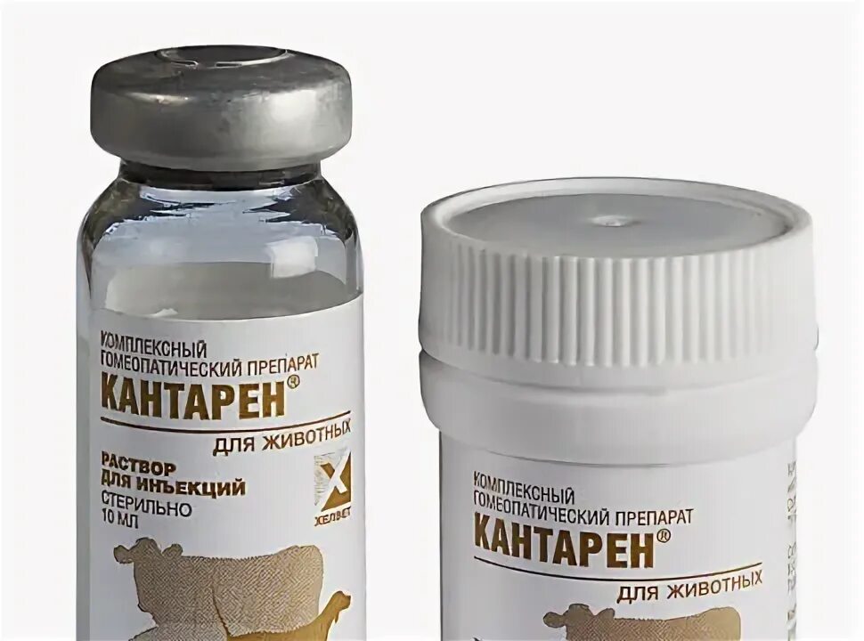 Панкреалекс для собак. Кантарен для кошек. Кантарен таблетки. Кантарен для собак. Панкреалекс для кошек.