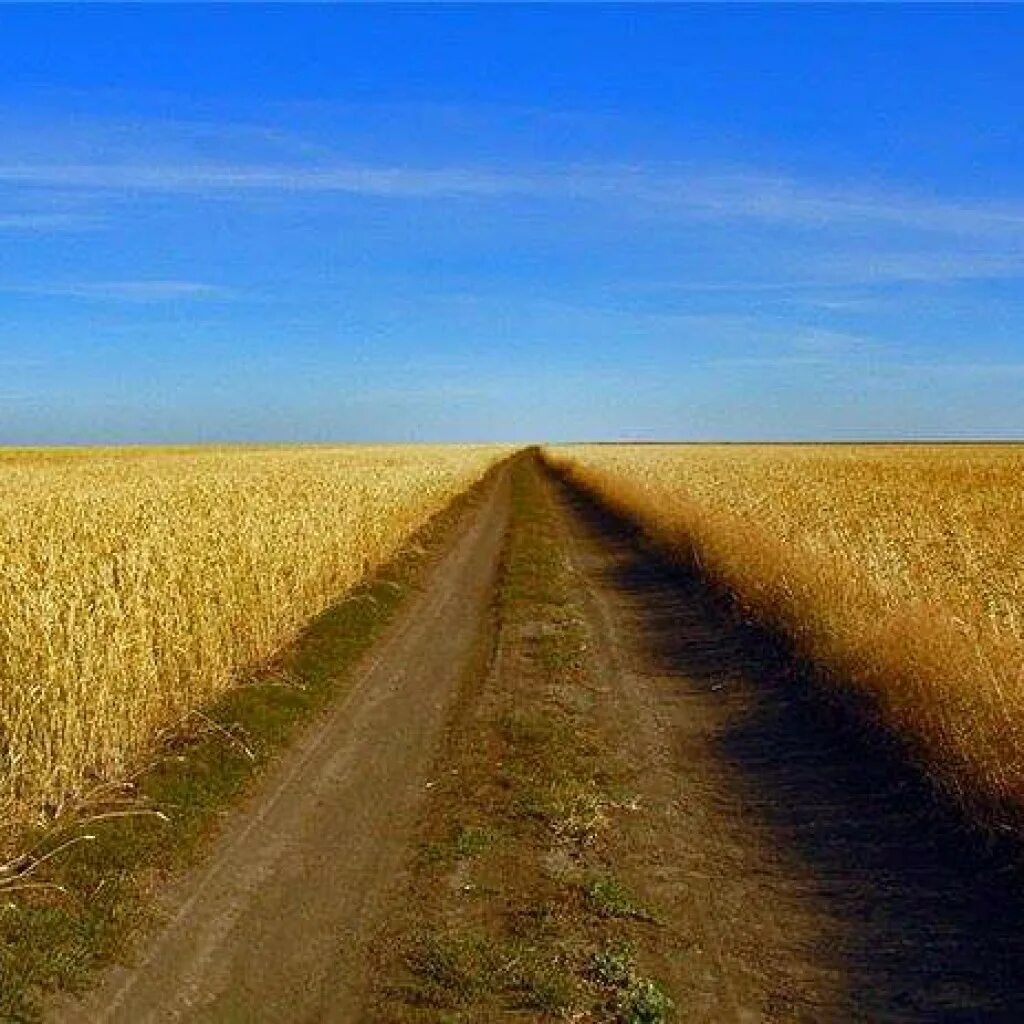 Объекты горизонта. Линия горизонта. линия гор. что такое горизонт линия горизонта. пейзаж с линией горизонта.