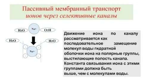 Пассивные мембраны