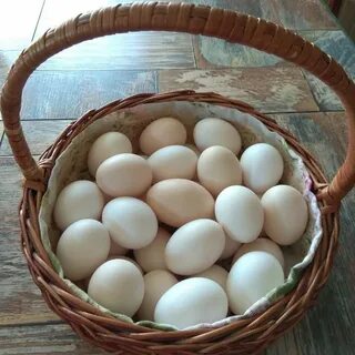 Колосовка доска объявлений продам яйцо