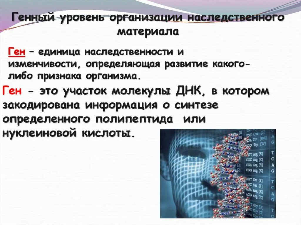 Хромосомный уровень организации наследственного уровня. Генный Геномный и хромосомный уровни организации. Геномный уровень организации генетического материала. Геномный уровень организации наследственного материала. Организация наследственной информации