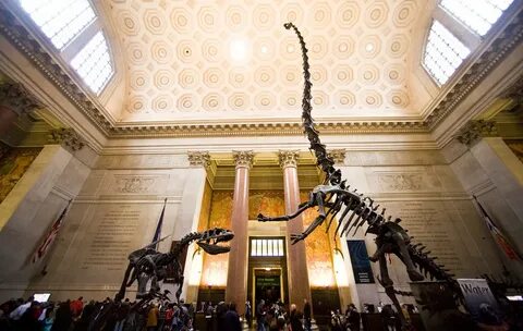 Popular museums