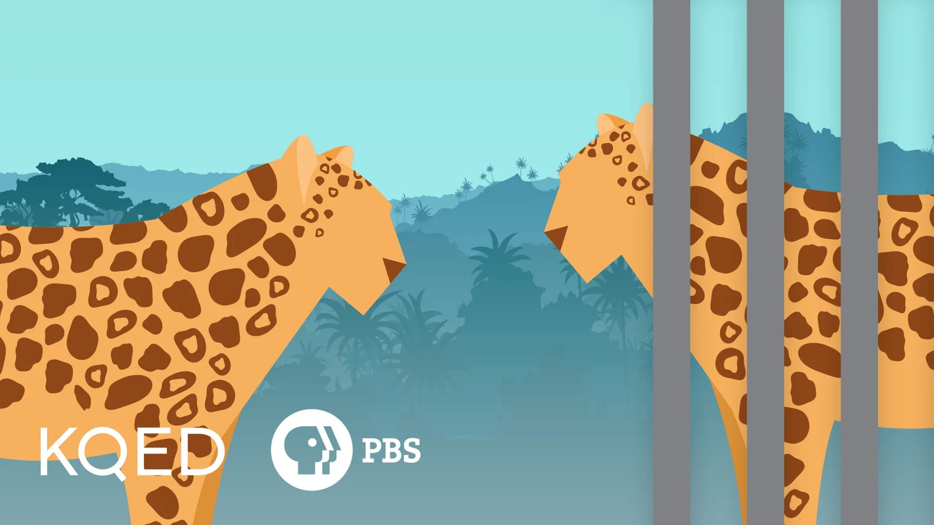 Advantages of keeping animals in zoos. Zoos pros and cons. zoos vs captivity pros and cons. keeping animals in zoos. эссе keeping animals in zoos.