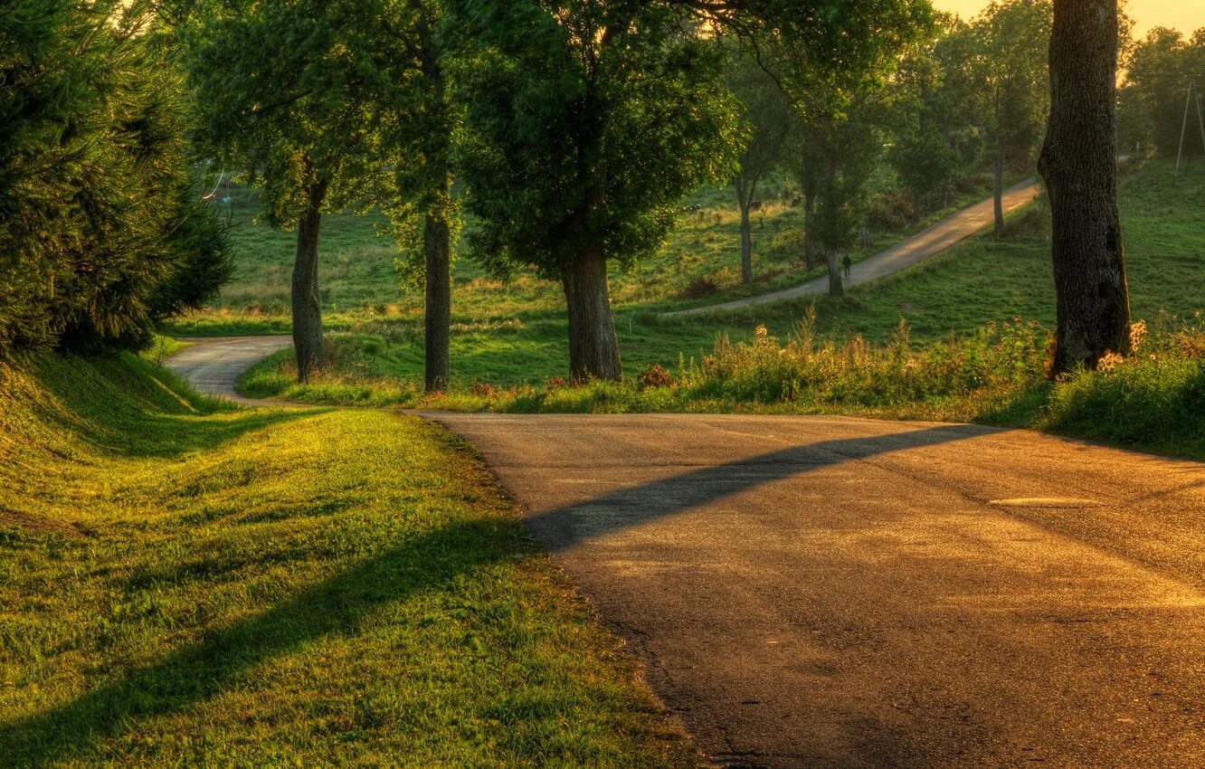 Летняя дорога. Summer roads. Дорога в лесу. Летняя дорога. Красивые дороги.