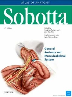 Anatomy atlas