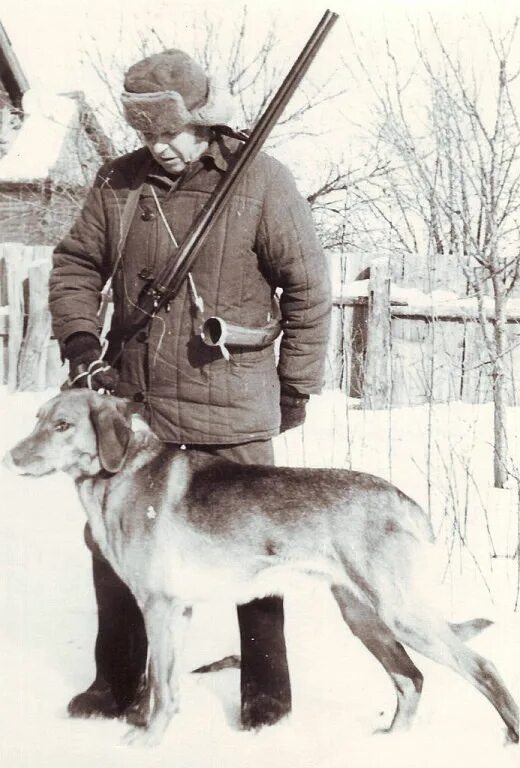 Месть гончей железной крови 73. Пахомов охота с гончей. Старые охотничьи собаки. Русский охотник. Старинные гончие.