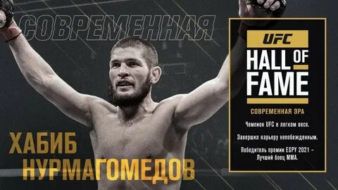 Ufc январь 2024