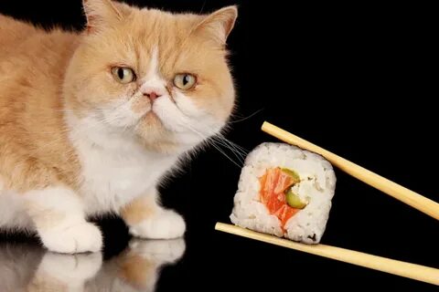 Roll cats