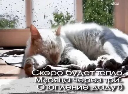 Когда будет терло