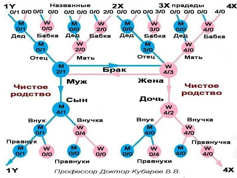 Племянница двоюродной сестры. Таблица родственных связей кто кому приходится. Степени родства схема. Родственники кто кем приходится схема. Схема родственных связей.